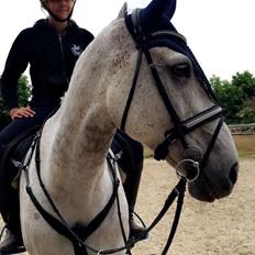 Anden særlig race Cæzar