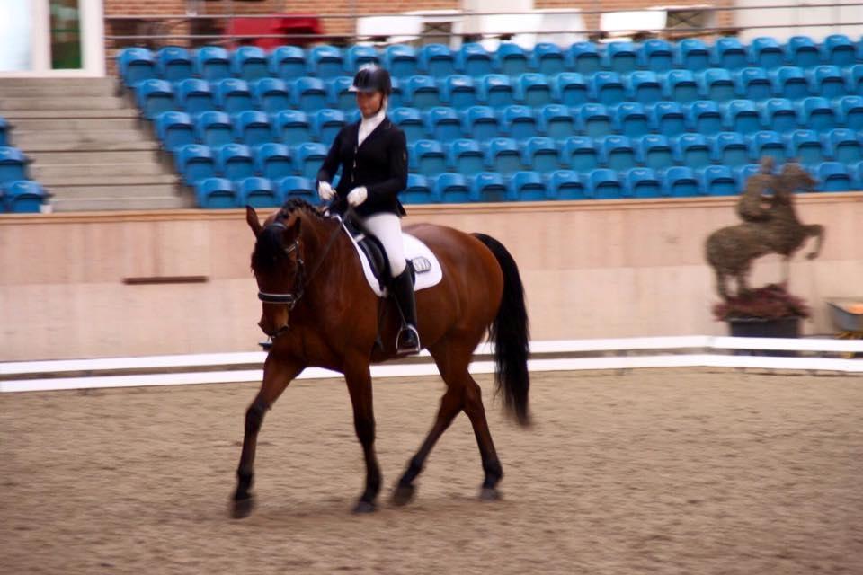 Dansk Varmblod Royal League billede 2