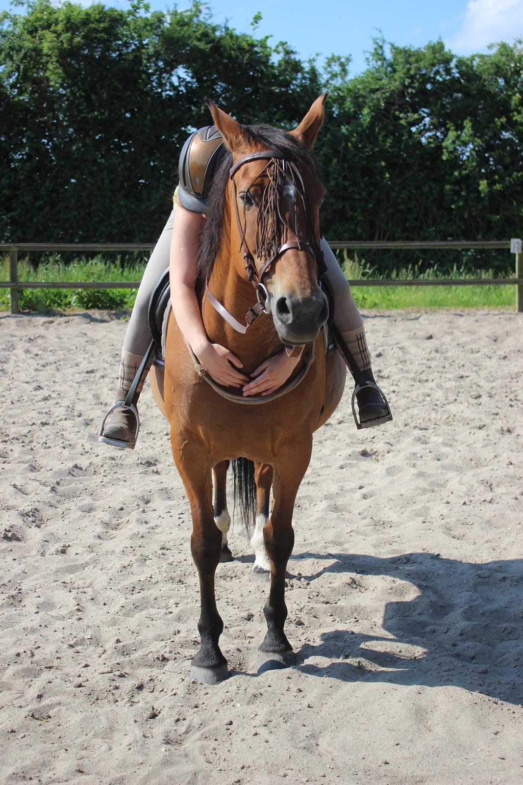 Anden særlig race Bacardi (The Lady <3) billede 36