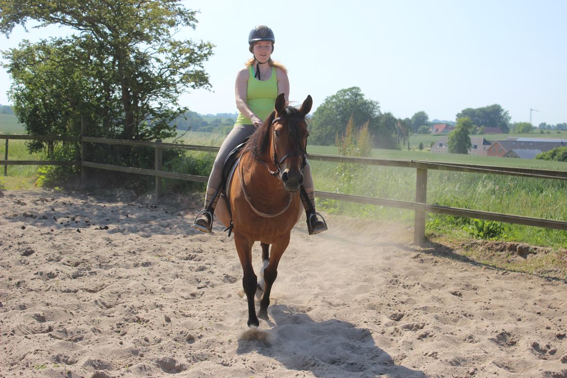 Anden særlig race Bacardi (The Lady <3) billede 26