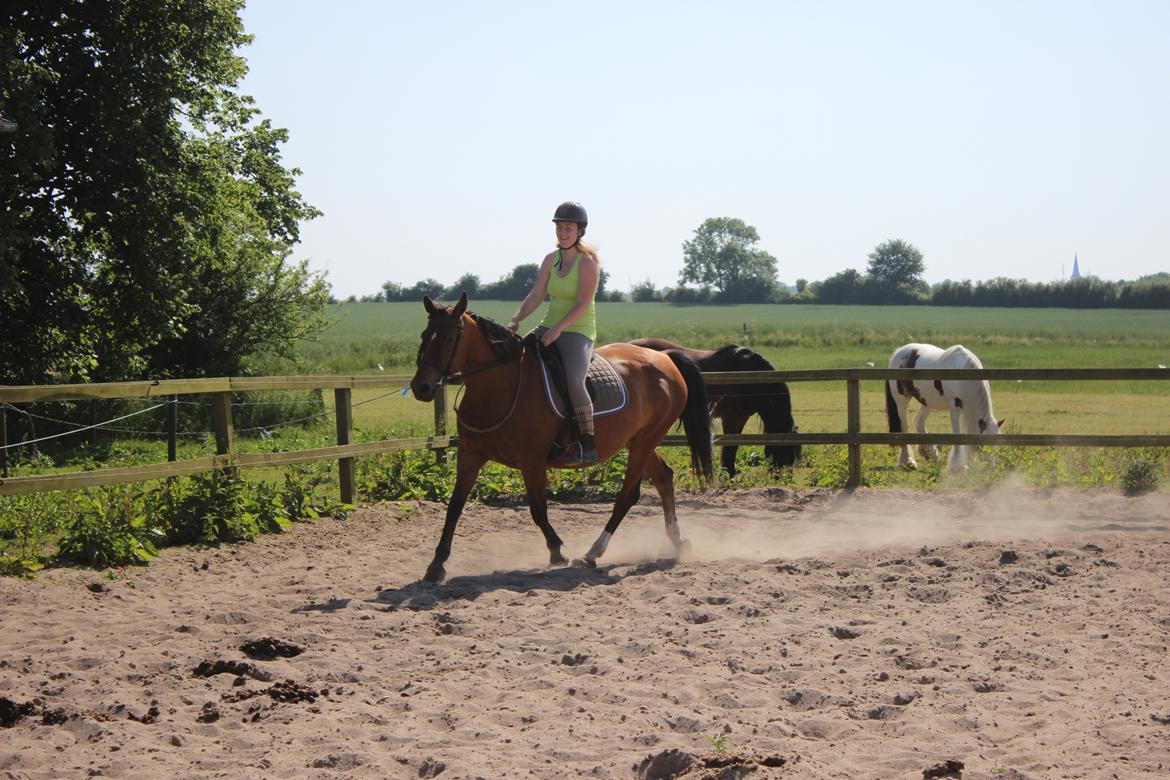 Anden særlig race Bacardi (The Lady <3) billede 12