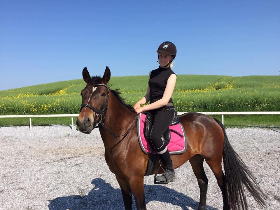 New Forest Bommers elmira billede 9