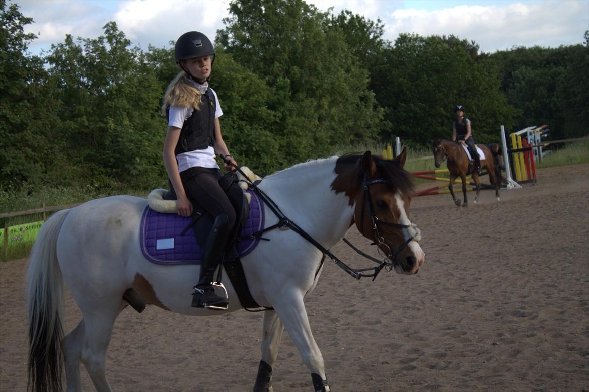 Anden særlig race Strit billede 6