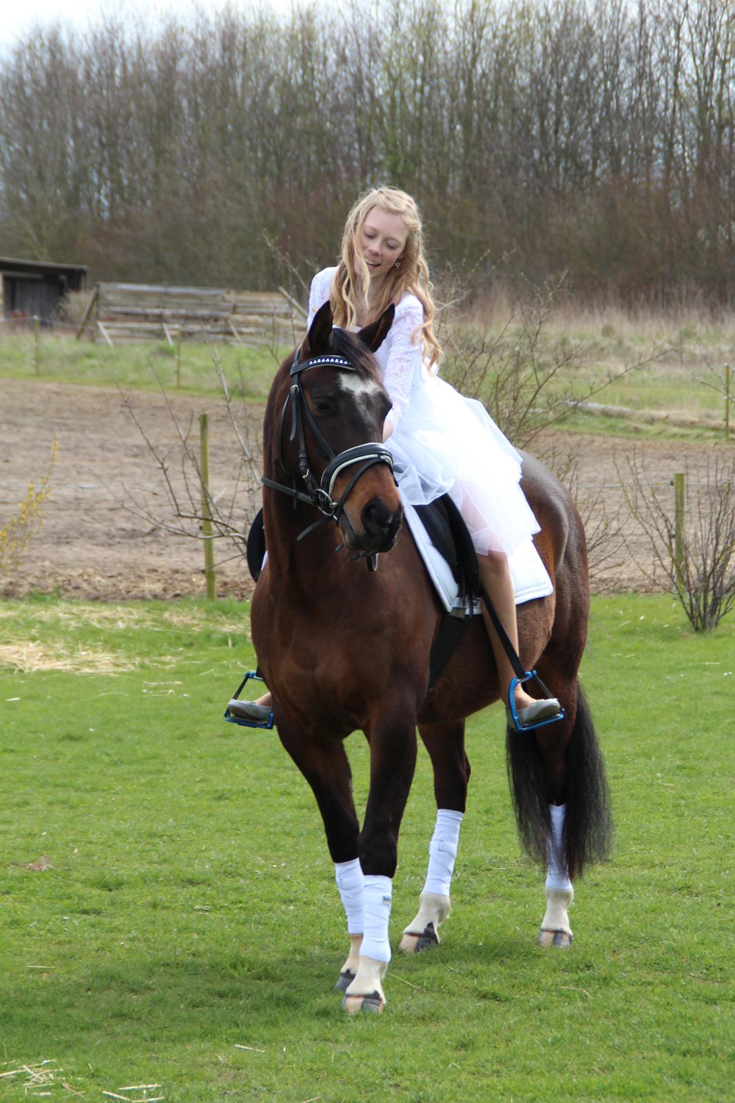 DSP Præst's zedan billede 16