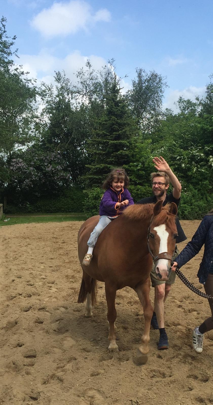 New Forest Mark's Sun'z billede 15