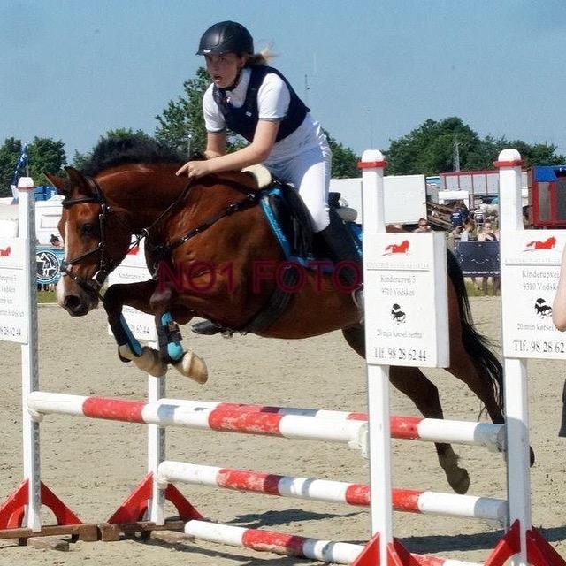 Anden særlig race Pepsi - i belive we can fly billede 4