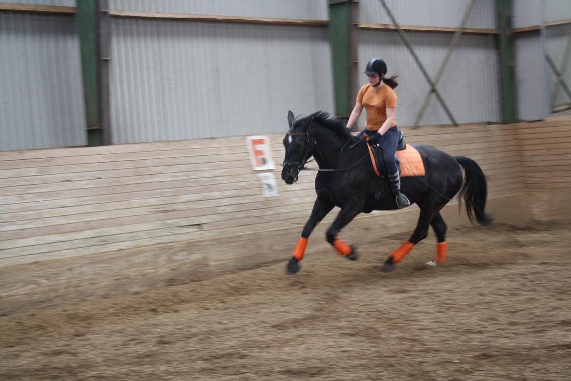 Oldenborg Maggie Tisted - Juni 2016 billede 41