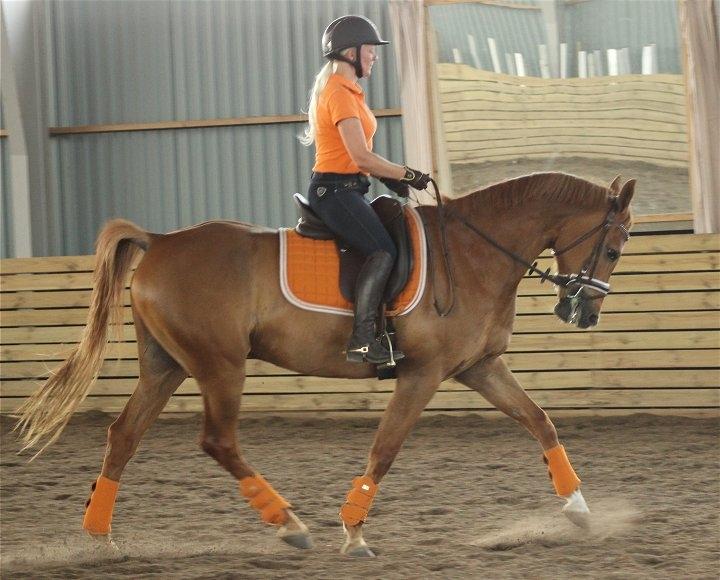 Anden særlig race Sweet Marquis (Tak for 2 fantastiske år) billede 11