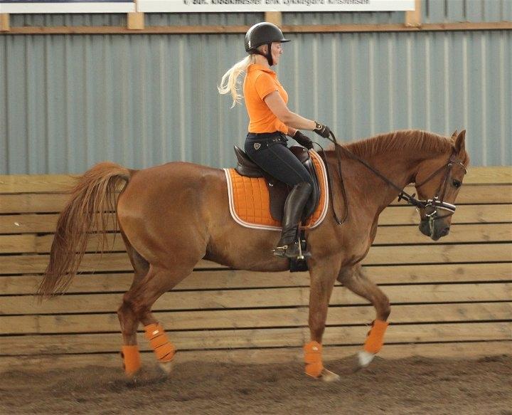 Anden særlig race Sweet Marquis (Tak for 2 fantastiske år) billede 12