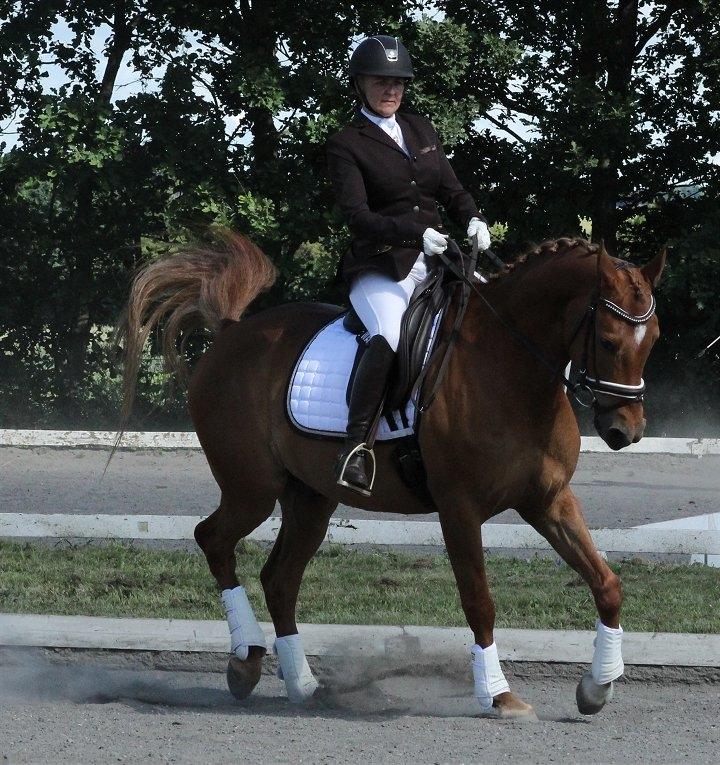 Anden særlig race Sweet Marquis (Tak for 2 fantastiske år) billede 14