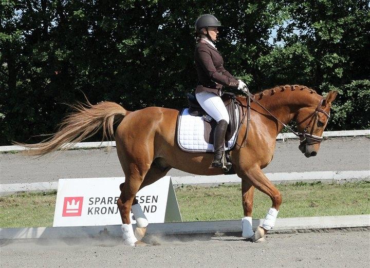 Anden særlig race Sweet Marquis (Tak for 2 fantastiske år) billede 13