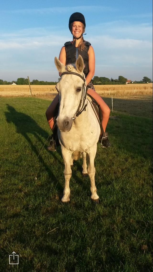 Connemara Elmelys Topgun billede 1