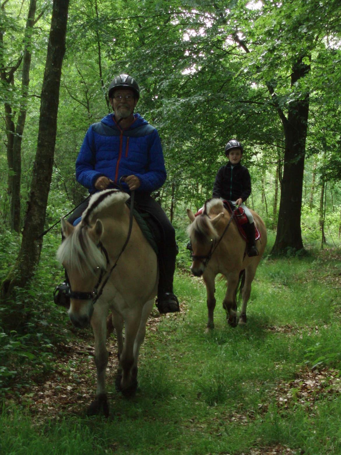 Fjordhest Vrå nikita - Skovtur 12 Juni 2016 billede 16