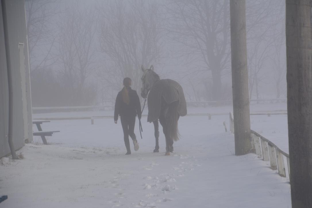 Anden særlig race Bjøslevgaards Santana billede 12