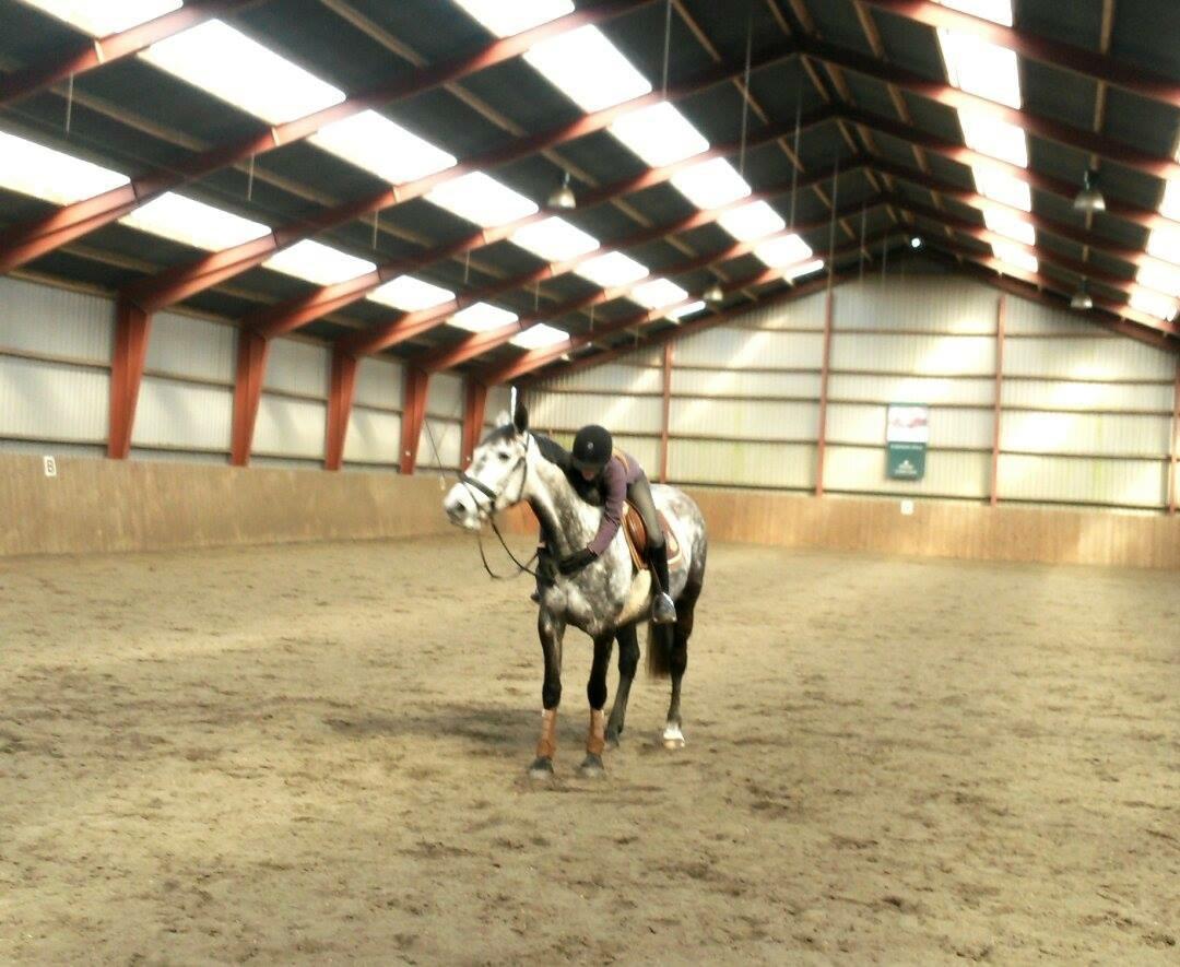 Anden særlig race Bjøslevgaards Santana billede 2