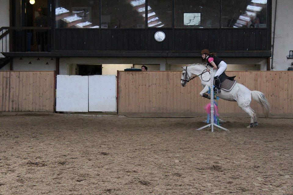 Anden særlig race Snow Girl - Jokerspringning .16 SMAF billede 3