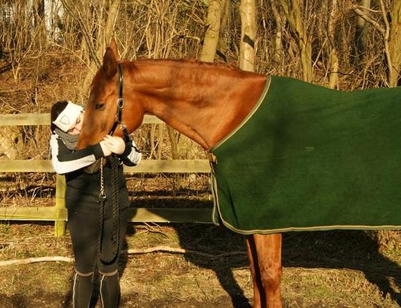 Dansk Varmblod Lillemarkens affib billede 15