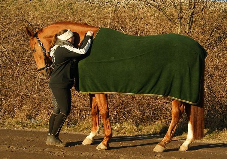 Dansk Varmblod Lillemarkens affib billede 18