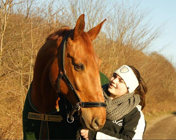 Dansk Varmblod Lillemarkens affib billede 19