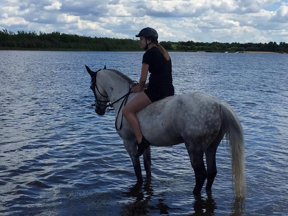 Anden særlig race Karisma billede 5