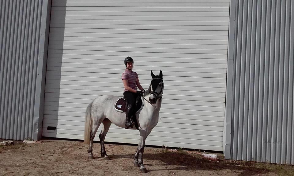 Anden særlig race Karisma billede 3