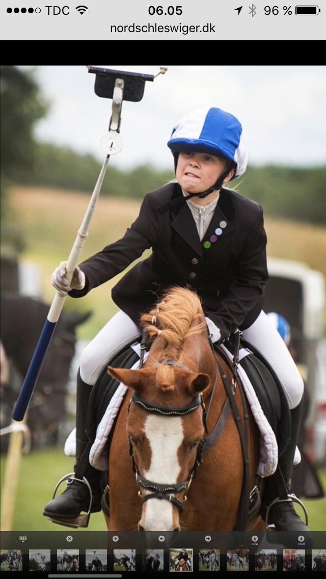 DSP Prinsesse kassandra billede 7