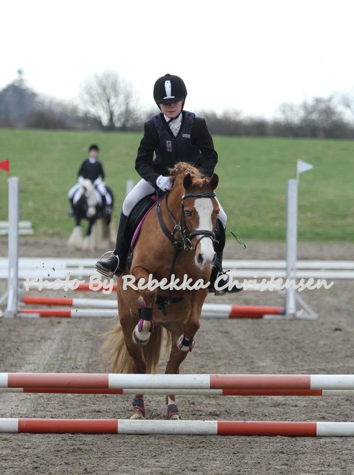 DSP Prinsesse kassandra billede 10