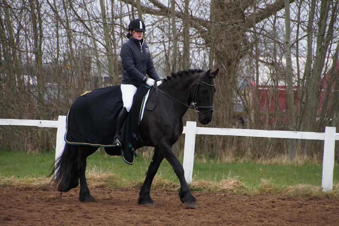 Frieser Sofia billede 2