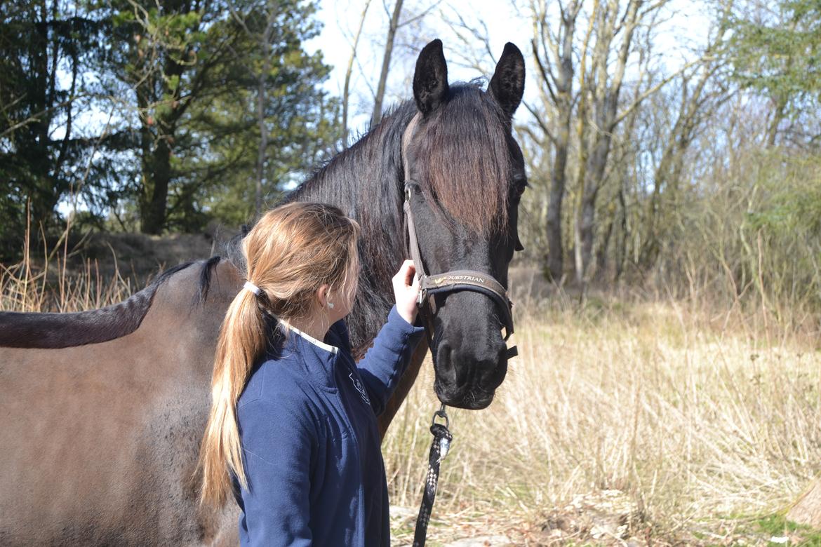 Frieser Sofia billede 3