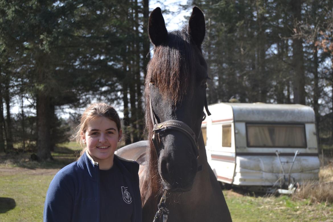 Frieser Sofia billede 5