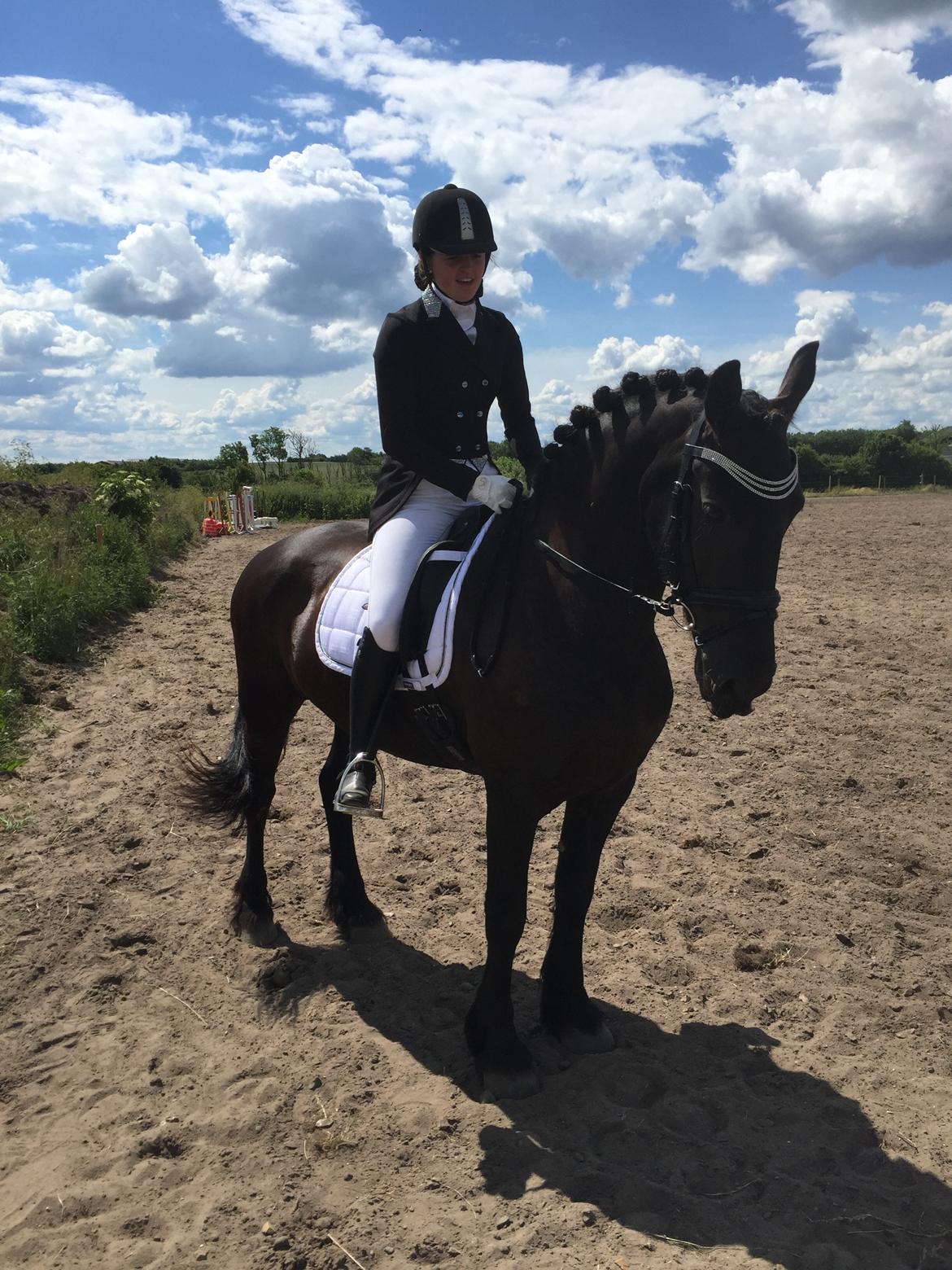 Frieser Sofia billede 1