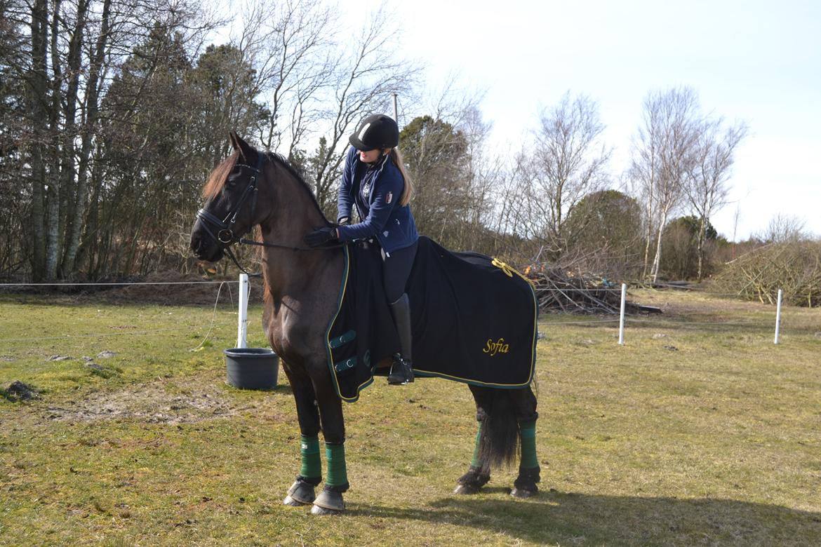 Frieser Sofia billede 7