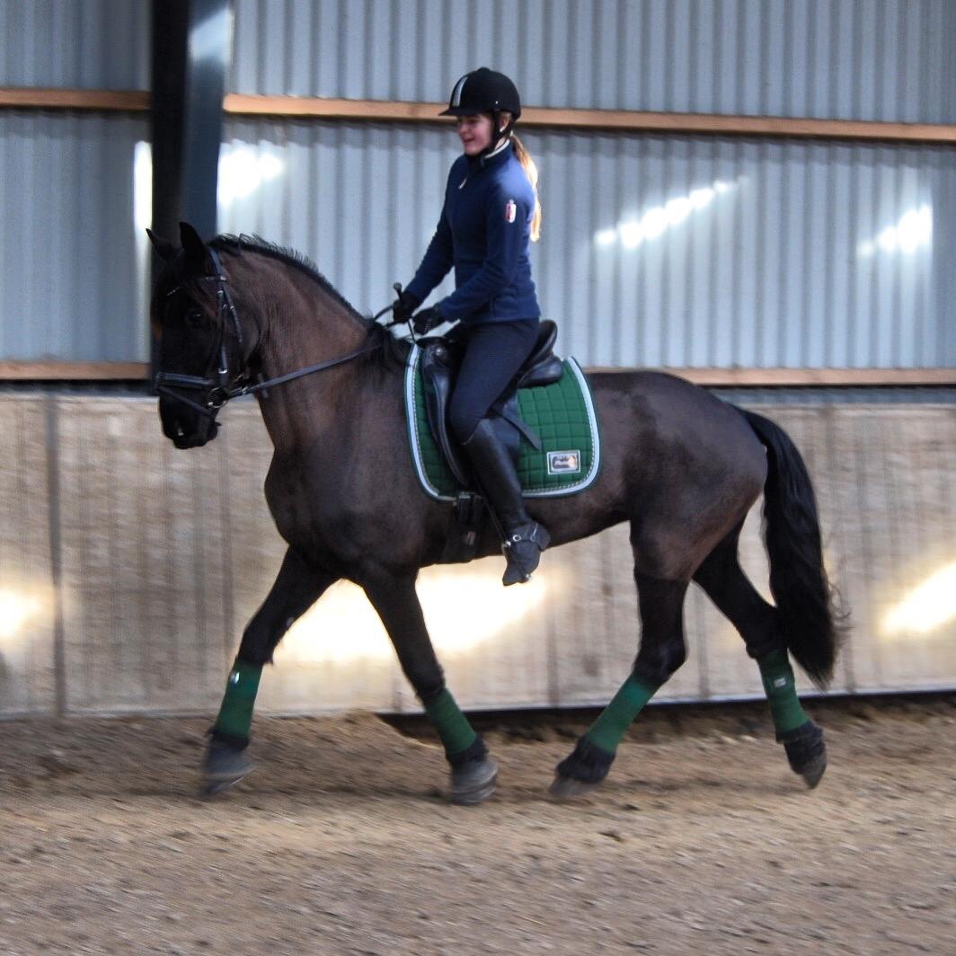 Frieser Sofia billede 6