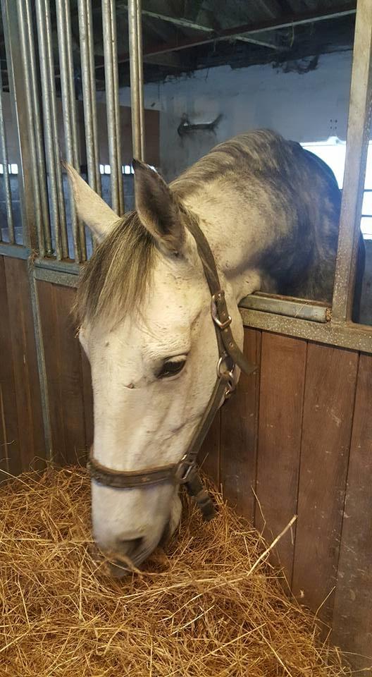 Oldenborg Mølgaards Hilleray billede 15