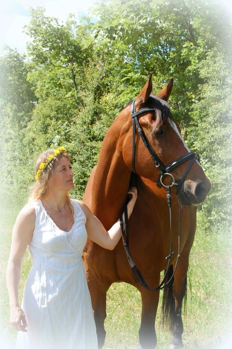 Anden særlig race Enggaarden's Prince billede 15