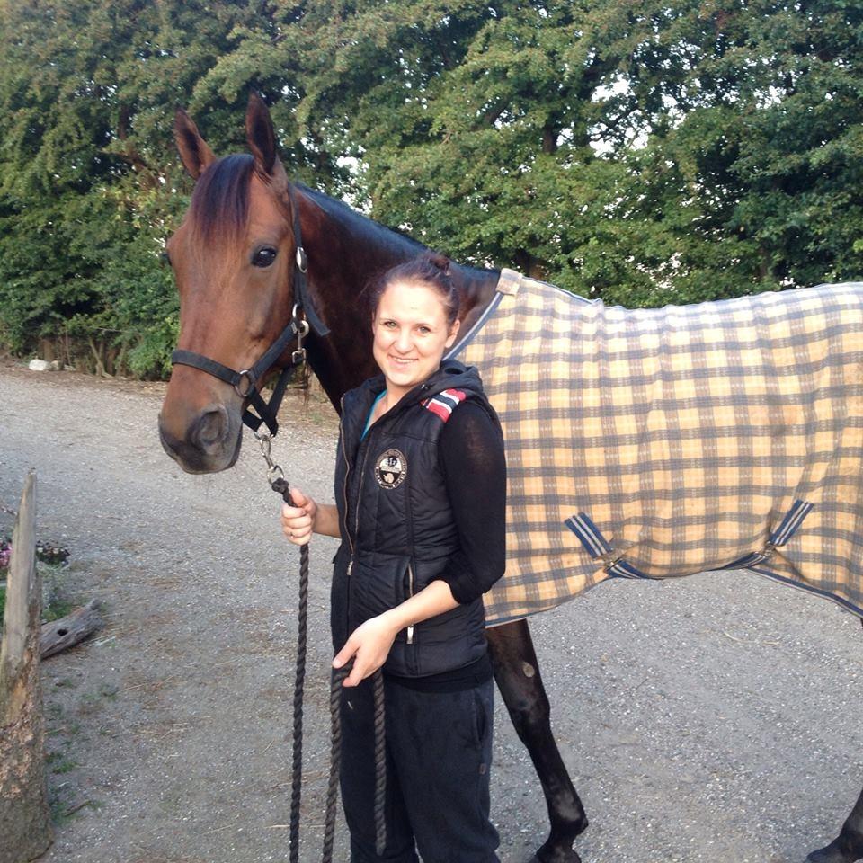 Traver Rain Man H billede 17