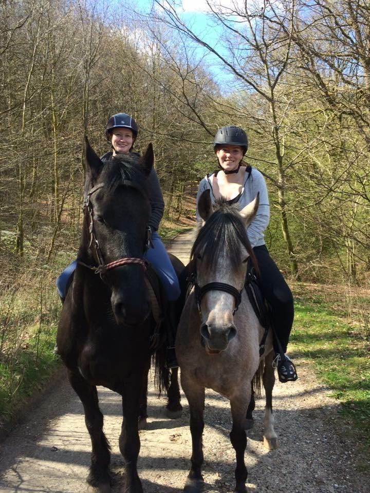 DSP CharlottenBorgs Pegasus - Første gang på ryggen  billede 4