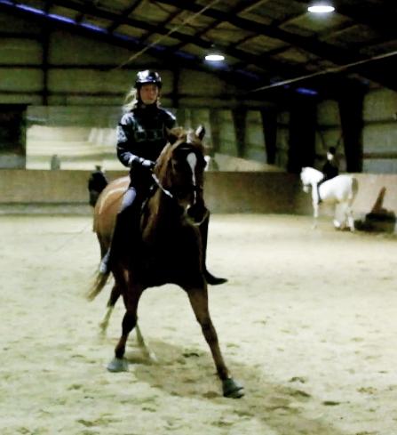 Anden særlig race Sonny Boy billede 13