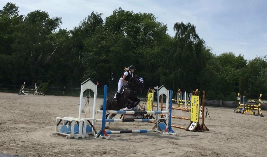 Anden særlig race Kamira billede 2