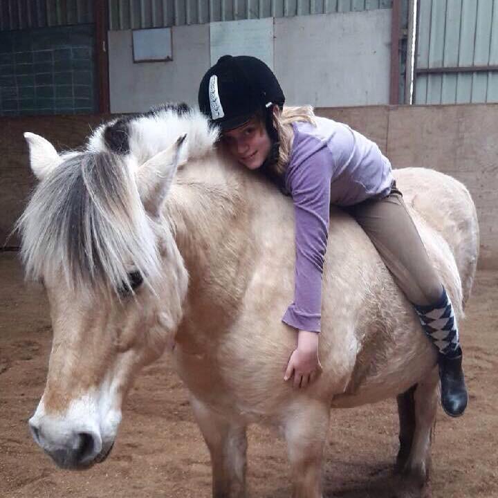 Fjordhest Skovvejens Akitta        Part  billede 1