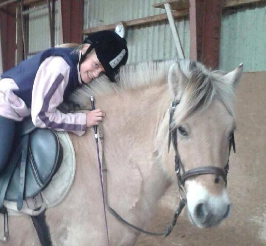 Fjordhest Skovvejens Akitta        Part  billede 2