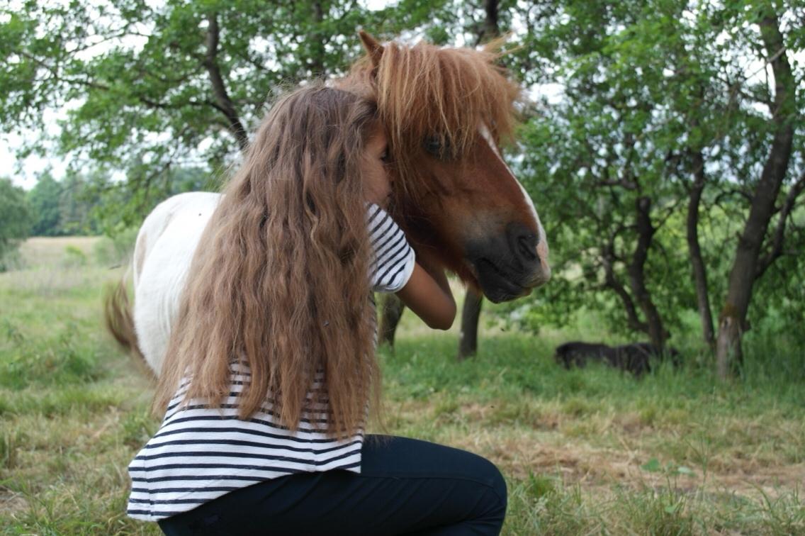 Anden særlig race Buller billede 2