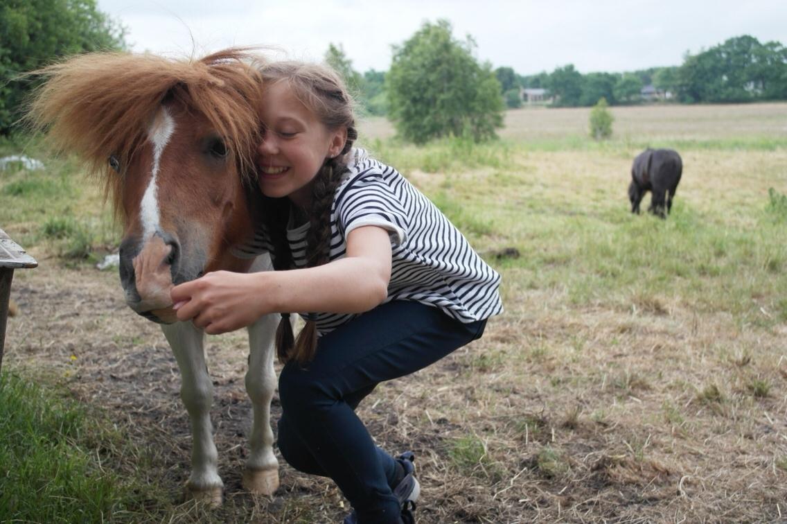 Anden særlig race Buller billede 4
