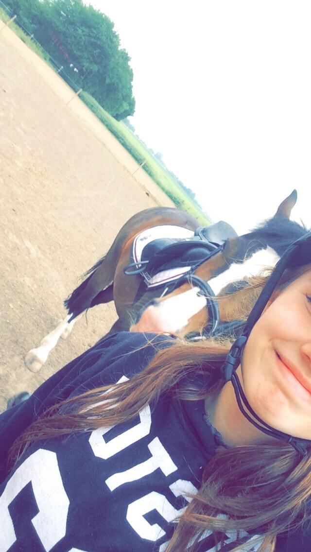 New Forest Toby VI billede 15