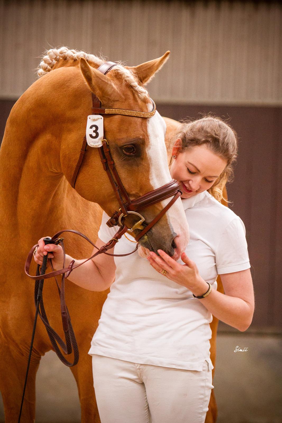 Palomino Richelieu's Fièvre d'or billede 8
