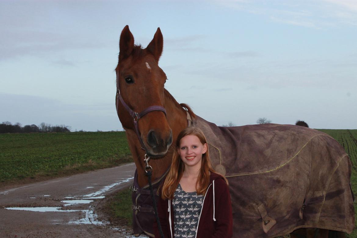 Dansk Varmblod Capella S - På efterskolen :) billede 16