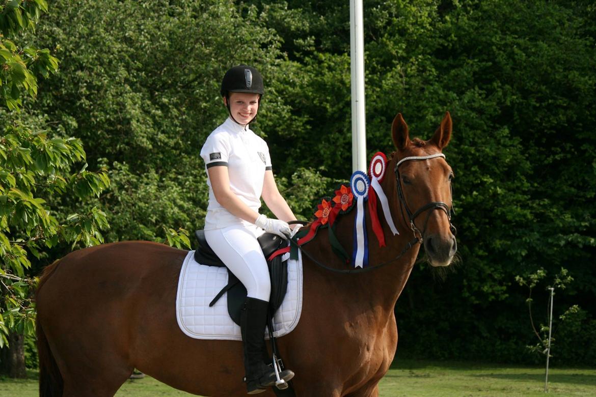Dansk Varmblod Capella S - Stævne i fjelsted billede 17