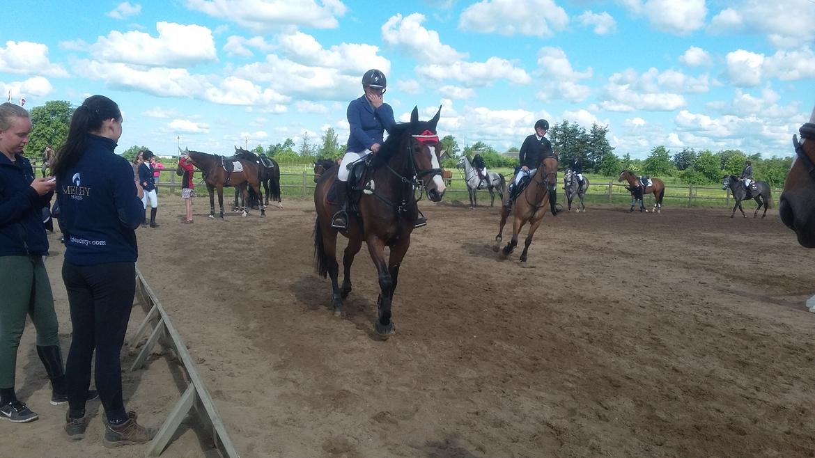 Hannoveraner Cabajera billede 6