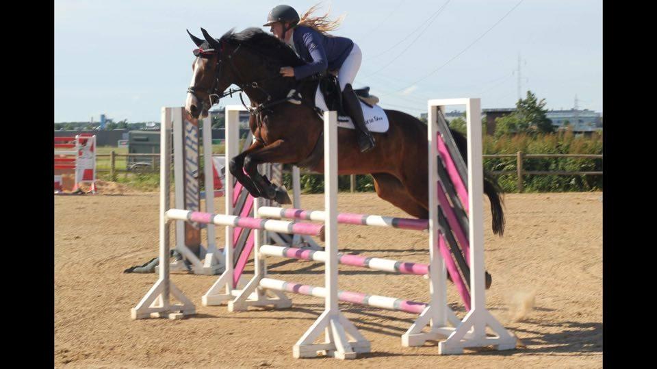 Hannoveraner Cabajera billede 7