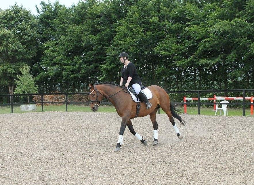 Hollandsk Varmblod Vuurpijl (Vega) - Marienborg 12 juni 2016 billede 25